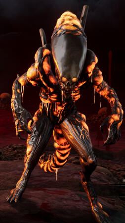 Veinongus